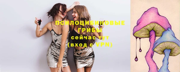 индика Саяногорск