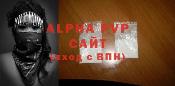 индика Саяногорск