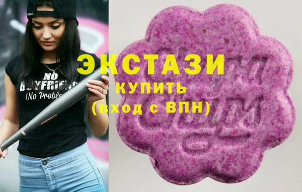 крисы Ельня
