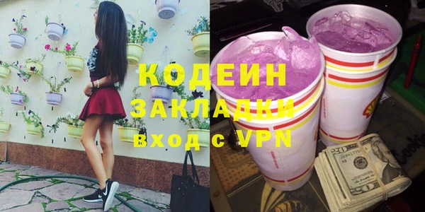 индика Саяногорск