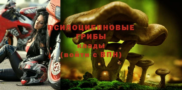 прущая мука Сафоново