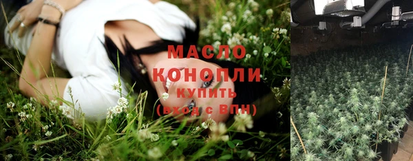 индика Саяногорск