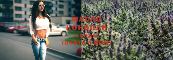 молекула духа Елизово