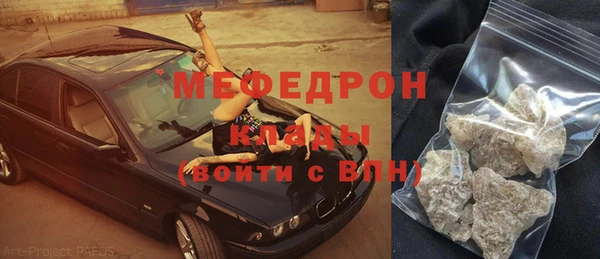 индика Саяногорск