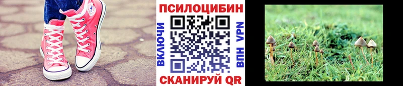 Галлюциногенные грибы ЛСД  Неман 