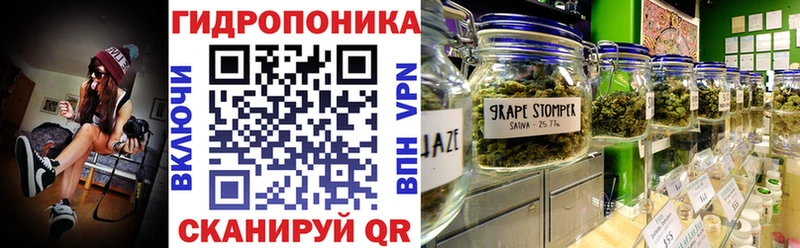 Марихуана гибрид  Неман 